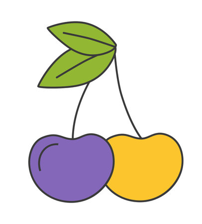 This is a vector illustration featuring two cherries colored in purple and yellow attached to green leaves flat vector illustrationのイラスト素材