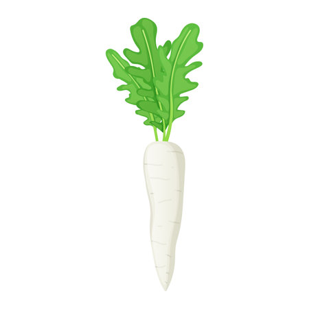 Daikon radish with green leaves in flat design. Organic vegetable harvest. Vector illustration isolated.のイラスト素材