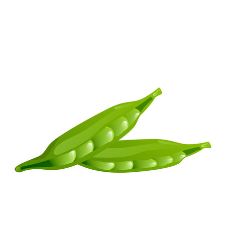 Green pea pod in flat design. Beans vegetable, healthy vegetarian diet. Vector illustration isolated.のイラスト素材
