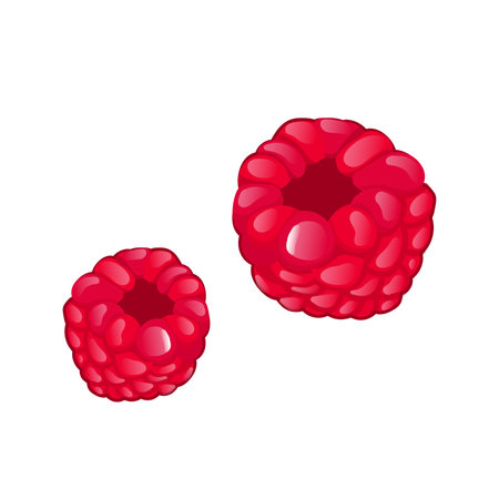 Red raspberry in flat design. Sweet summer two berries, juicy dessert. Vector illustration isolated.のイラスト素材