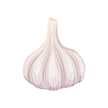Garlic bulb in flat design. Spice for cooking, seasoning condiment. Vector illustration isolated.のイラスト素材