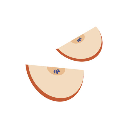 Red apple slices in flat design. Fresh and juicy half of fruits with seeds. Vector illustration isolated.のイラスト素材