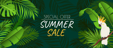 Summer horizontal sale banner. Shopping promotion poster template with green lush silhouettes of tropical palms foliage and monstera leaves, jungle leaflets and cockatoo parrot. Vector illustration.のイラスト素材