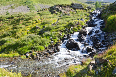 Mountain stream flows through the rocks in Alpsの写真素材