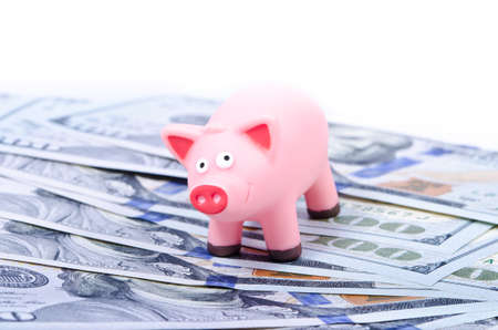 Pink pig on the new 100 dollar bills, over whiteの写真素材