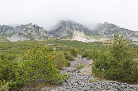 Rocky mountain is covered with gray cloud of mist
