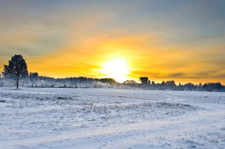 Sunrise in winter over a small village. Saturated color.の写真素材