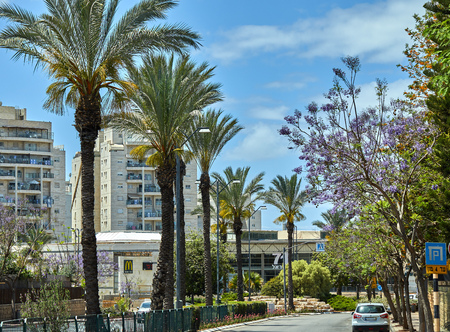 Rishon Lezion, Israel - May 10, 2019. View of the city alley with palm trees against the blue sky with clouds.のeditorial素材