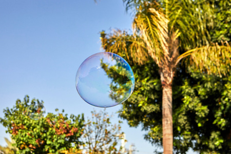 The soap bubble flies against the blue sky and palm trees. Bubbles of air on a sunny summer day outdoors.の写真素材
