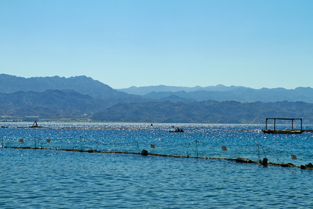 Eilat-Israel September 8, 2018. Dolphin reef on the Red Sea.の写真素材