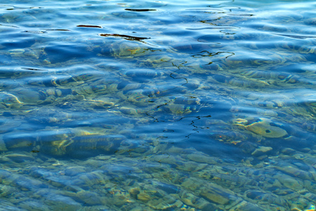 Background texture of the Red Sea coast in summerの写真素材