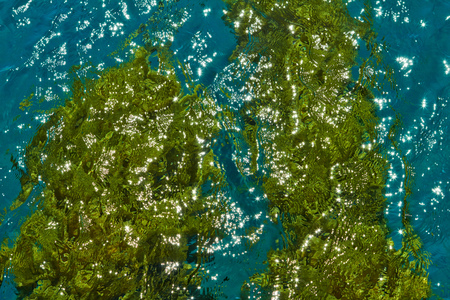 Background texture of the Red Sea coast in summerの写真素材