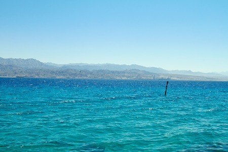 Coral reef on the Red Sea Eilat, September 2018の写真素材