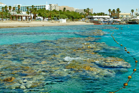 Coral reef on the Red Sea Eilat, September 2018の写真素材