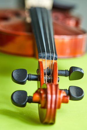 Violin on a green background, close-up. Detail of violin.