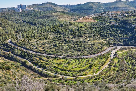 Forest of Sataf west of Jerusalem Israel. A beautiful area of hiking and enjoying the nature.の写真素材