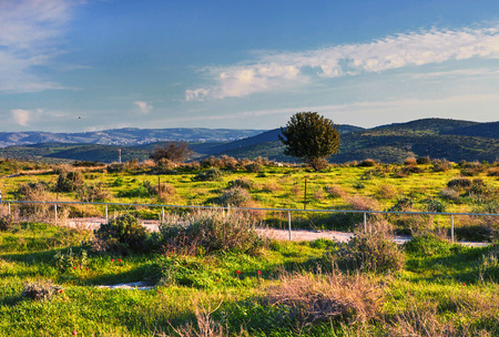 View on green biblical landscape and Archaeological Ruins Beit Guvrin Maresha during winter time, Israel. January 2019の写真素材