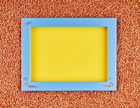 Scattered fresh dry buckwheat background - close-up buckwheat texture with a blue frame on a yellow...