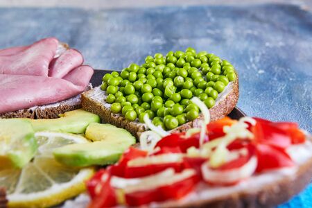 Assorted open-faced sandwiches, sandwiches with slices of sourdough with various fillings on a plate - cucumbers, peas, cherry tomatoes, mozzarella, sardines, bell peppers, pastramas, lemon.の写真素材