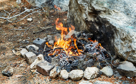 The bonfire is bred in a spruce forest of branches and cones. Stones are lined around.