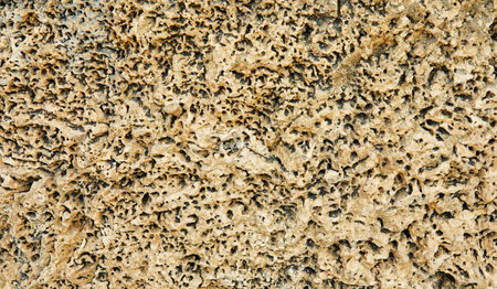 Natural stone texture and surface in high resolution.の写真素材