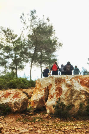 Walk in the spring forest, the best weekend pastime with family.の写真素材