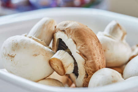 Porcini mushrooms and champignons are in plate ready for cuttingの写真素材