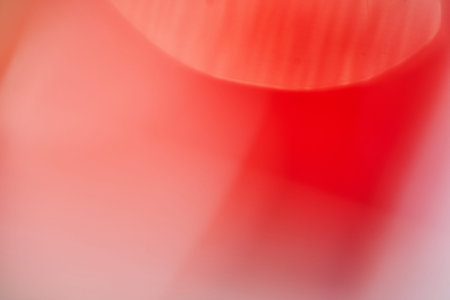 Red-pink background texture in defocus. Blur for the background.