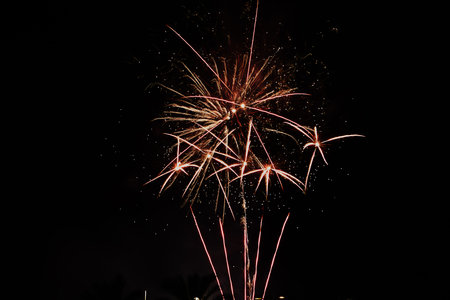 Multicolored fireworks in the night sky. Celebration of Independence Day, New Year and other...