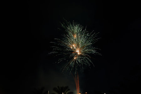 Multicolored fireworks in the night sky. Celebration of Independence Day, New Year and other holidaysの写真素材