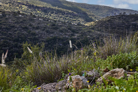 A serene image of green hills and a blue sky with fluffy white clouds. Vibrant colors and lush vegetation cover the hills. Perfect for backgrounds or travel brochures.の写真素材