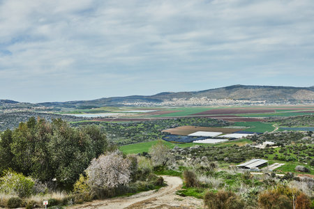 A panoramic view of rolling green fields, agricultural plots, and a distant town nestled among the hills under a cloudy sky.の写真素材
