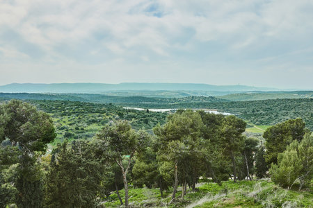 A breathtaking natural landscape with rolling green hills, olive trees, and distant farmlands under a partly cloudy sky, evoking tranquility.の写真素材