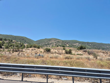 A dry grassy hillside with scattered trees under clear blue skies, typical Mediterranean summer landscape in rural environmentの写真素材