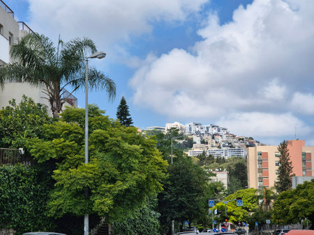 Lush greenery with tropical trees contrasts with white buildings on a hill, creating a peaceful residential scene under blue skyの写真素材