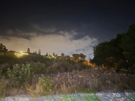 A dark nightscape with illuminated trees under cloudy skies, creating a moody atmosphere in the wild, slightly overgrown hillsideの写真素材