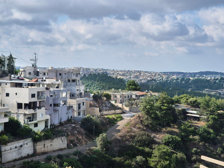 Hillside homes overlook a wide expanse of forest and distant neighborhoods beneath a sky scattered...