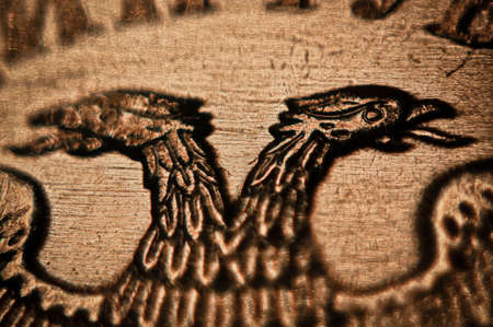 Double eagle on the coin of russian roubleの写真素材