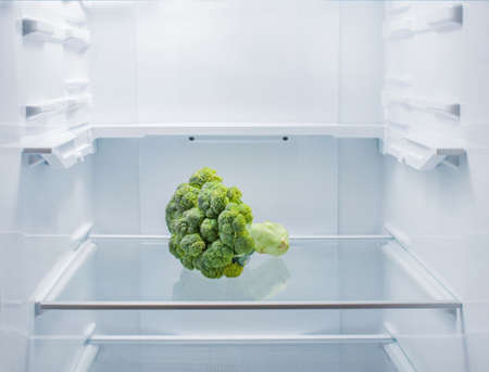One broccoli lies in the center of an empty refrigeratorの写真素材