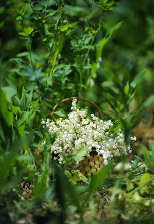 Spring bouquet of lilies of the valley in a wicker basket on the natureの写真素材