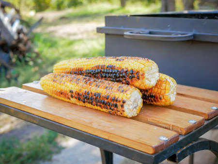 Three ripe fried corn lie next to the barbecue in natureの写真素材