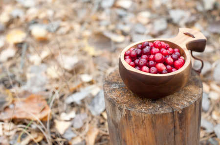 Fresh red cranberries in a wooden bowl in the autumn forest on a stump. Copy spaceの写真素材