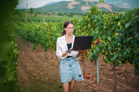 Woman worker with a laptop in her hands on the background of a vineyard checks the quality of grapesの写真素材