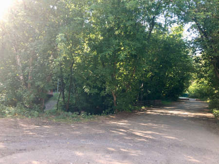 Road through the summer forestの写真素材