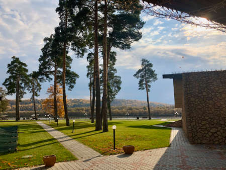 The most beautiful view of sunny sky, ancient pines and a riverの写真素材