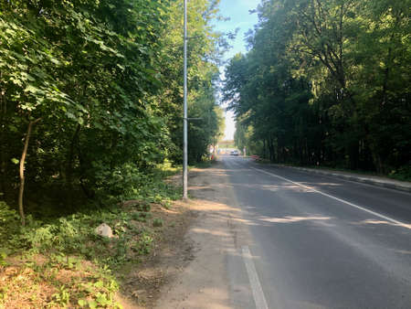Road through the summer forestの写真素材