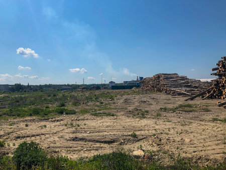 Industrial woodworking. Despite the development of environmental programs, woodworking is an important source of income in many developing countries.の写真素材