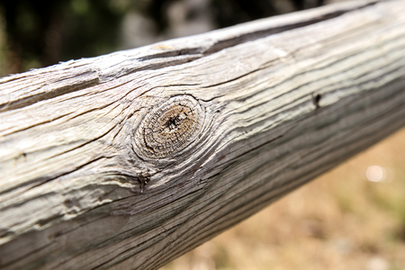 Wood fence detailsの写真素材