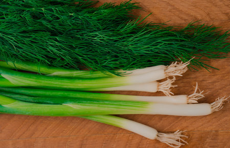Fresh aromatic culinary herbs on a wooden board. Dill leaves and green onions on a wooden board....