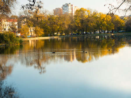 landscape, lakes park in autumn at which reflects part of the park areaの写真素材